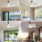 🌬️Surprise Price: Only £16.99!!🔥SmartBreez™ 40W LED Ceiling Fan Light – 20.5” Ultra-Quiet with Remote 🎯 | E27 + FREE B22 Adapter 🔌 | For Bedroom 😴, Kitchen 👩‍🍳 & Garage 🛠️ – UK Ready! 🇬🇧