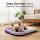 🔥Summer Hot Sale -Only £9.99!!⚡50K+ SOLD!❄️Pet Cooling Pad Mat for Dogs and Cats - ✅Breathable Soft Sleeping Cushion for Indoor Floors Sofas🛋️|Car Travel🚗| Washable Multiple Sizes Available☀️🐶🐱