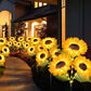 ⏳Limited-time 50% off🌞Solar LED Sunflower Garden Lights-29.6inch/75cm 2
