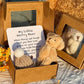 🔥Hot Sale 50% Off💥Buy 2 get 1 free🎁Handmade Mini Plush Teddy Bear in Box