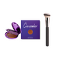 🔥 LAST DAY 50%OFF💥Buy 2 get 1 free🔥Soft Matte Cream Concealer