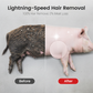 ⏳💥Final 3 hours-￡7.99!! 🧰Labor-Saving Pig Hair Remover Scraper Disc