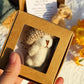 🔥Hot Sale 50% Off💥Buy 2 get 1 free🎁Handmade Mini Plush Teddy Bear in Box
