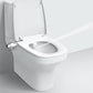 Smart Toilet Flusher(Hot and cold temperatures can be adjusted freely)