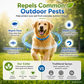 🎁💥LAST DAY SPECIAL PRICE!-￡7.99!!🐾Natural Essential Oil Pet Pest Repellent Collar