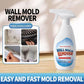 🔥LAST DAY PROMOTION 50% OFF -🏡Highly Effective Mould Removal Spray