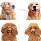 🐾 LIMITED TIME 50% OFF! ✨ Professional Pet Deshedding Tool – Gentle, 2-in-1, Efficient ✨ 2
