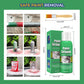 🎁Buy 1 Get 1 Free🔥🔥Best-Selling Paint Stripper – Fast & Powerful Removal 🎨✨