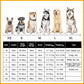 🐶🐾LAST DAY SALE 49% OFF💦 Super Absorbent Quick-drying Pet Dog Bathrobe