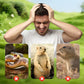 🏆Hot Sale 57% OFF⚡50K+ SOLD!☘️Solar Powered Waterproof Animal Repellent