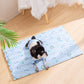 🔥HOT SALE 50% OFF🔥Summer Pet Dog/Cat Cooling Cushion