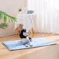 🔥HOT SALE 50% OFF🔥Summer Pet Dog/Cat Cooling Cushion