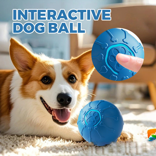 😍2025 LAST DAY SALE 50% OFF💥Buy 2 get 5% off & Free shipping🔥Interactive Dog Ball