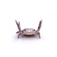 🔥LAST DAY 60% OFF💥❤️🤣 Funny Hot Sale - 🦀 Cute crab-shaped pen holder