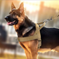 🔥New Hot Selling-60% Off!!🏆✨Heavy-Duty Tactical Dog Harness with Handle🐕