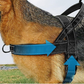 🔥New Hot Selling-60% Off!!🏆✨Heavy-Duty Tactical Dog Harness with Handle🐕