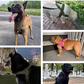 🔥New Hot Selling-60% Off!!🏆✨Heavy-Duty Tactical Dog Harness with Handle🐕