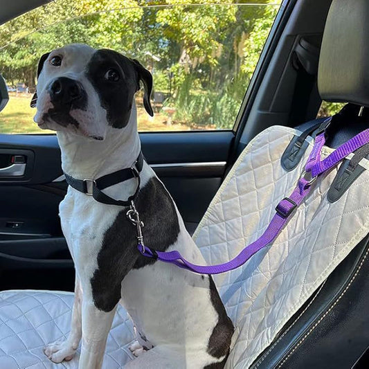 🔥New Hot Selling-￡7.99!!  ❤️‍🔥 2-in-1 Dog Car Seat Belt & Walking Leash