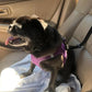 🔥New Hot Selling-￡7.99!!  ❤️‍🔥 2-in-1 Dog Car Seat Belt & Walking Leash