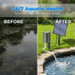 📢📢New arrival 50% OFF !! ⏰Solar Pond Aerator with Air Pump