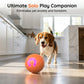 🏆Flash Sale⚡50K+ SOLD! Almost Gone-💥🐾 AUTO-BOUNCING SMART PET BALL WITH REMOTE CONTROL— 3 Interactive Modes | Chew-Resistant E-TPU | USB-C Rechargeable 🎾