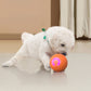 🏆Flash Sale⚡50K+ SOLD! Almost Gone-💥🐾 AUTO-BOUNCING SMART PET BALL WITH REMOTE CONTROL— 3 Interactive Modes | Chew-Resistant E-TPU | USB-C Rechargeable 🎾