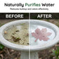 ⏳LAST DAY SALE ONLY ￡9.99!!🎁Buy 1 Get 1 Free🔥 🌿Universal Fit Bird Bath Cleaner🐦💦Wildlife-Safe Leaf Purifier for Fresh, Clear Water in Any Garden Basin | Rust-Resistant & Low Maintenance🛡️✨